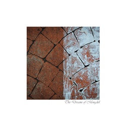 dailyPhoto13